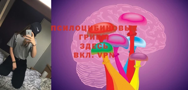 ПСИЛОЦИБИНОВЫЕ ГРИБЫ Куйбышев